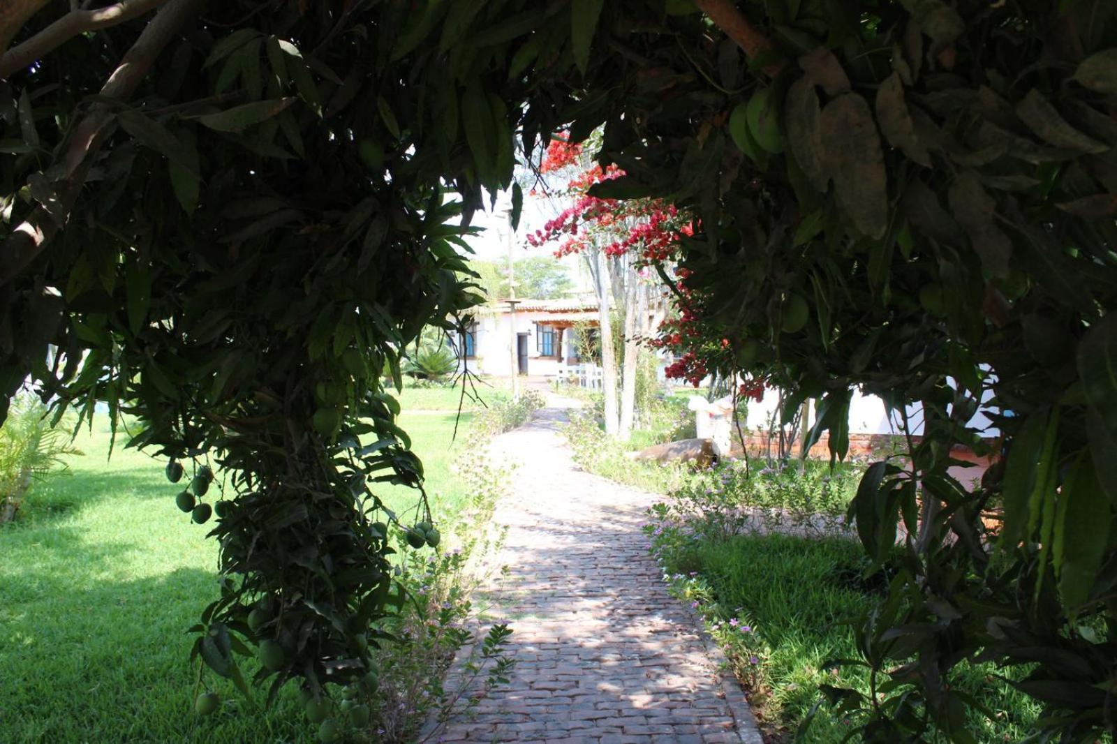Отель Casa Hacienda Nasca Oasis Наска Экстерьер фото