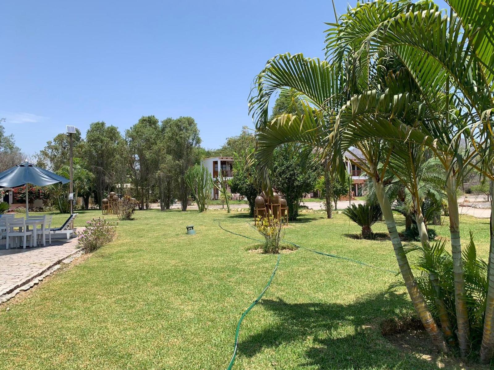 Отель Casa Hacienda Nasca Oasis Наска Экстерьер фото