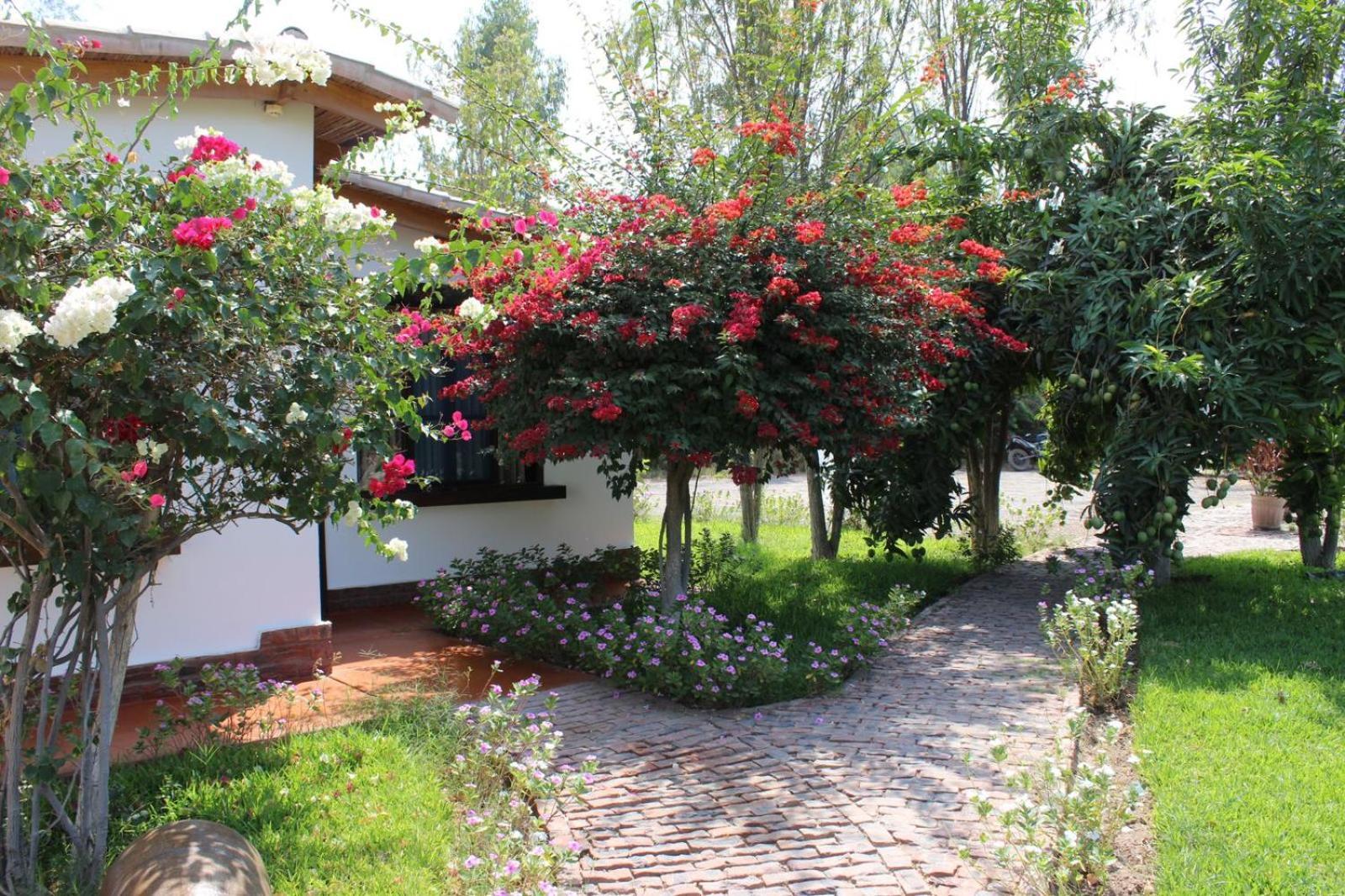 Отель Casa Hacienda Nasca Oasis Наска Экстерьер фото