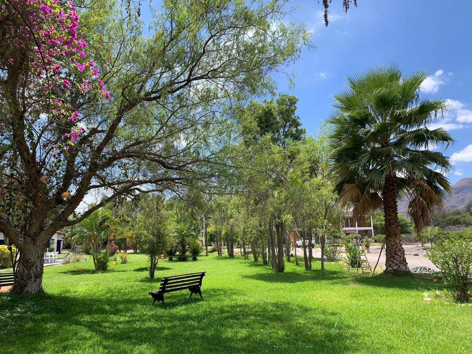 Отель Casa Hacienda Nasca Oasis Наска Экстерьер фото
